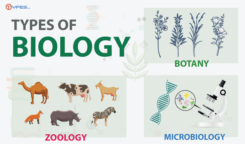 types of biology phds